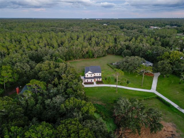 2890 ALEXANDRIA MARIE LANE, Lutz, FL 33559