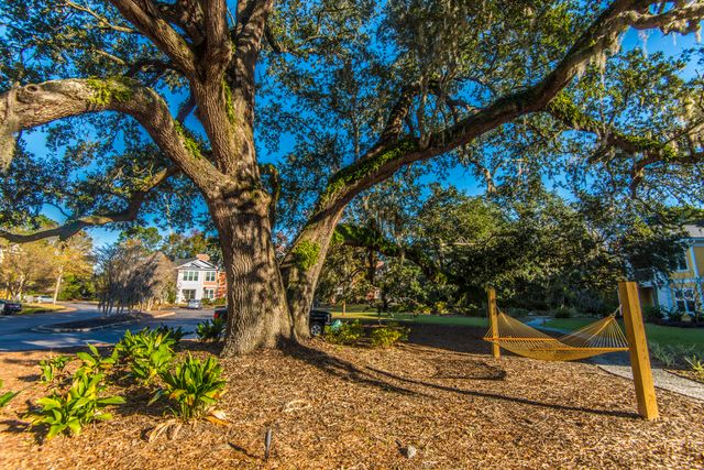 2128 Chatelain Way, Mount Pleasant, SC 29464