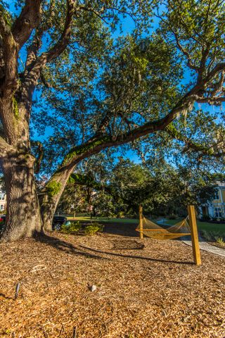 2128 Chatelain Way, Mount Pleasant, SC 29464
