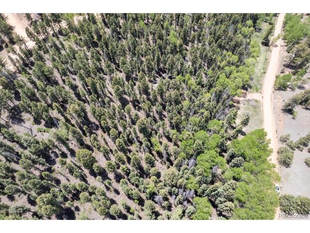 546 Spring Valley Ln, Florissant, CO 80816