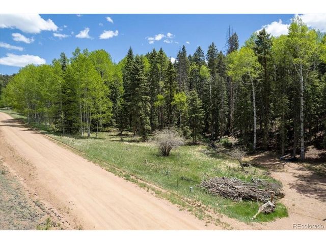 546 Spring Valley Ln, Florissant, CO 80816