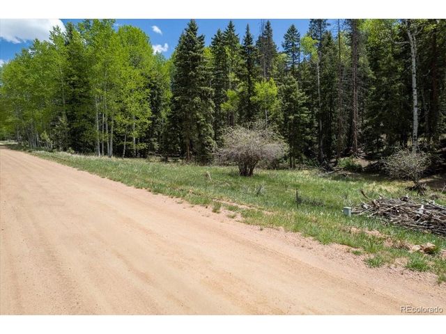 546 Spring Valley Ln, Florissant, CO 80816