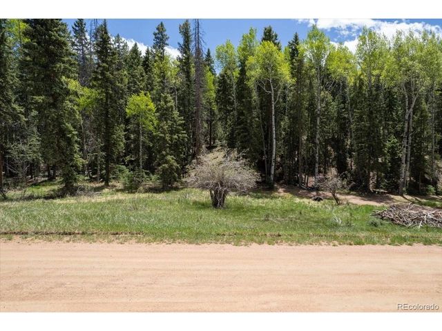 546 Spring Valley Ln, Florissant, CO 80816