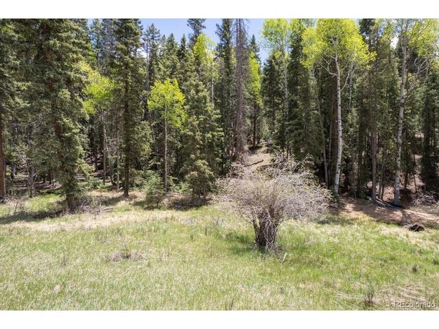 546 Spring Valley Ln, Florissant, CO 80816