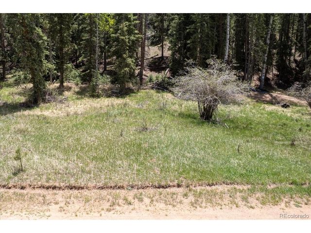 546 Spring Valley Ln, Florissant, CO 80816