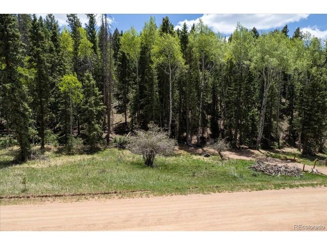 546 Spring Valley Ln, Florissant, CO 80816