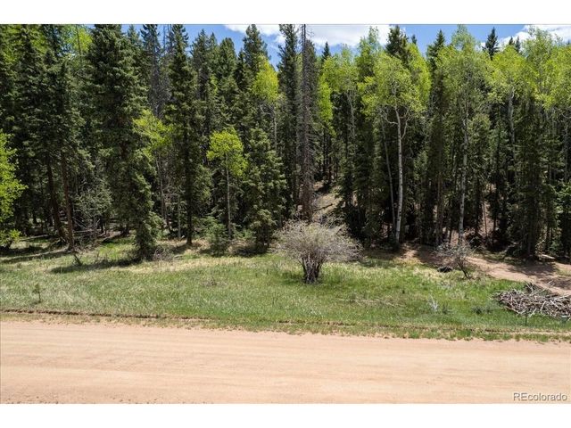 546 Spring Valley Ln, Florissant, CO 80816