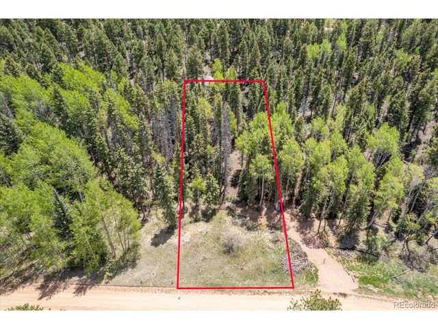 546 Spring Valley Ln, Florissant, CO 80816