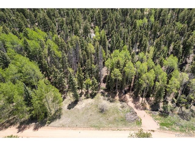 546 Spring Valley Ln, Florissant, CO 80816