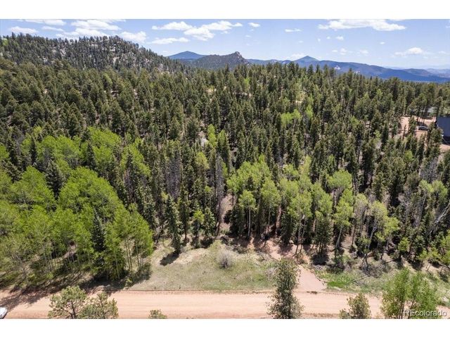 546 Spring Valley Ln, Florissant, CO 80816