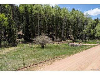 546 Spring Valley Ln, Florissant, CO 80816