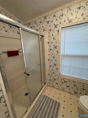 9822 Alabama Highway 71, Pisgah, AL 35765