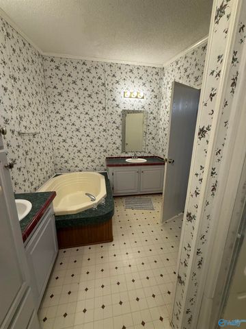 9822 Alabama Highway 71, Pisgah, AL 35765