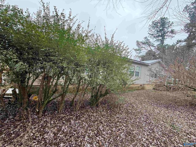 9822 Alabama Highway 71, Pisgah, AL 35765