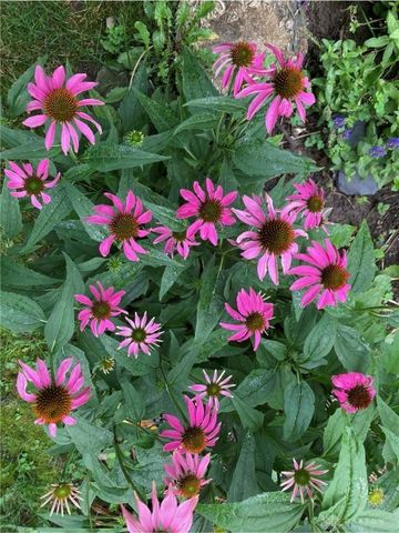 1054 Wilhelmina Drive, Vandalia, OH 45377