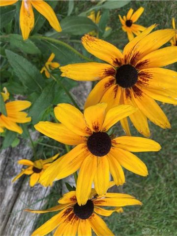 1054 Wilhelmina Drive, Vandalia, OH 45377