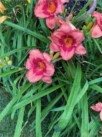 1054 Wilhelmina Drive, Vandalia, OH 45377