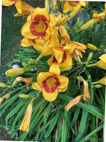 1054 Wilhelmina Drive, Vandalia, OH 45377