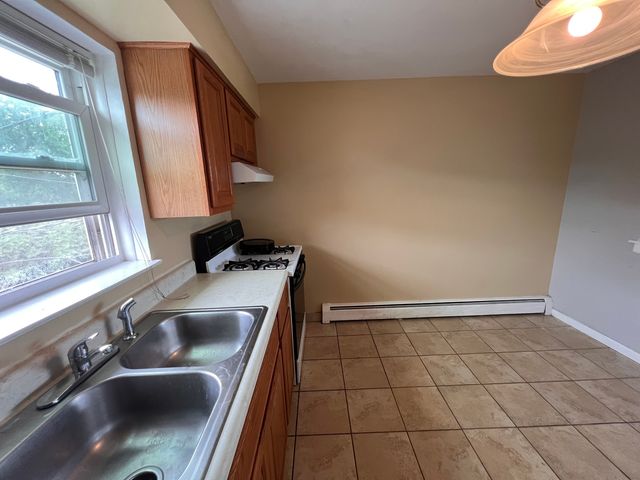 236 W Johnson Street 2E, Palatine, IL 60067