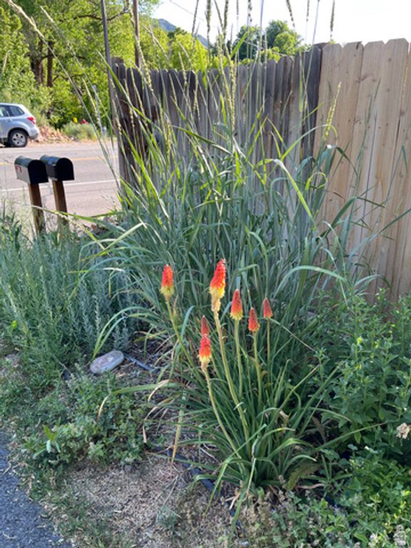 5101 EMIGRATION CANYON RD, Salt Lake City, UT 84108 — photo 2