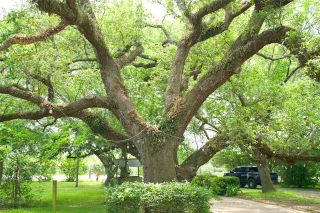 28622 Fm 2920 Road, Waller, TX 77484