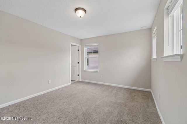 1009 OAKLAND HILLS Avenue, Middleburg, FL 32068