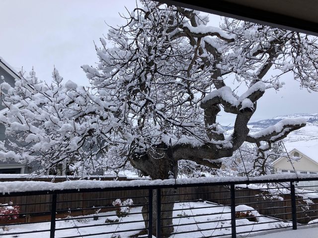 551 Sutton Place, Ashland, OR 97520