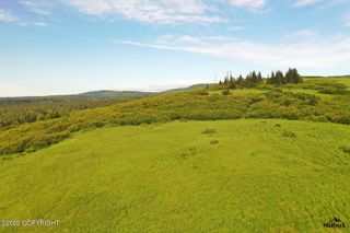 E3 Alaskan Wildwood Ranch(r), Nikolaevsk, AK 99556