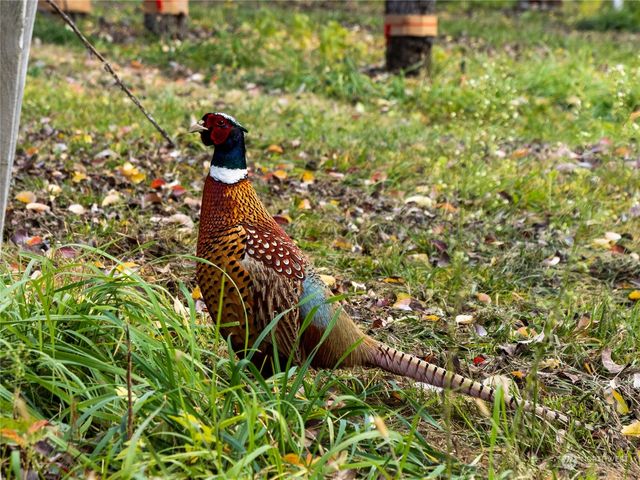 3710 Stayman Flats Road, Chelan, WA 98816