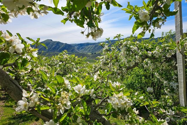 3710 Stayman Flats Road, Chelan, WA 98816