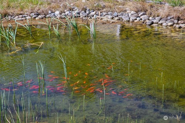 3710 Stayman Flats Road, Chelan, WA 98816