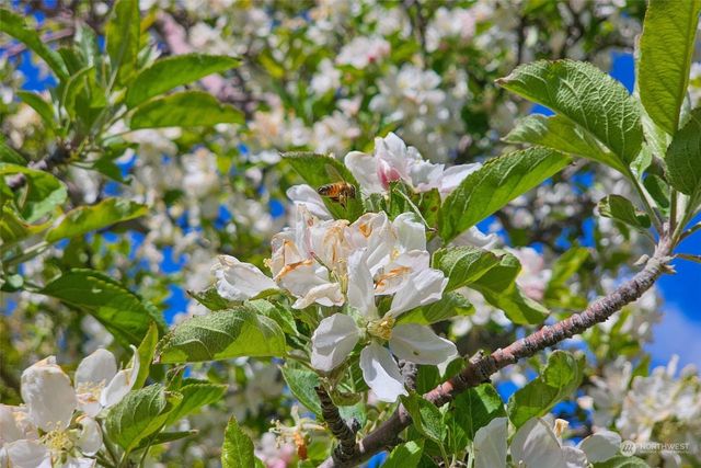 3710 Stayman Flats Road, Chelan, WA 98816