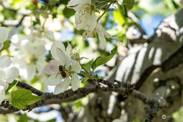 3710 Stayman Flats Road, Chelan, WA 98816