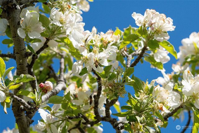 3710 Stayman Flats Road, Chelan, WA 98816