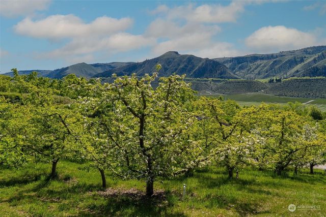 3710 Stayman Flats Road, Chelan, WA 98816