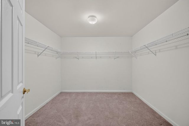 3770 CHINA GROVE, Dumfries, VA 22025