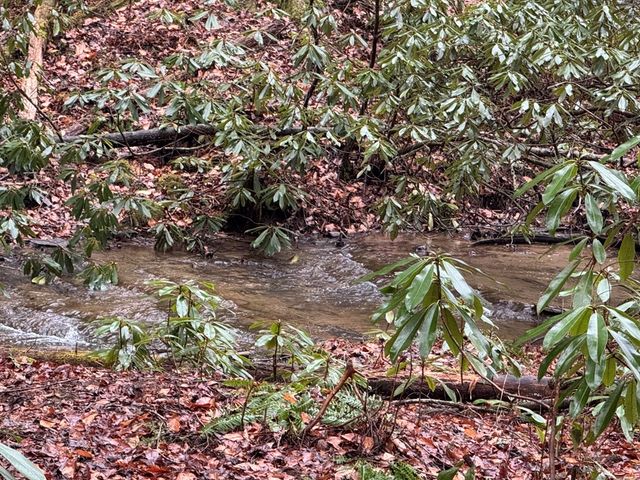 846 Joann Sisson Road, Ellijay, GA 30540