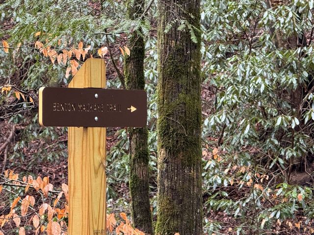 846 Joann Sisson Road, Ellijay, GA 30540