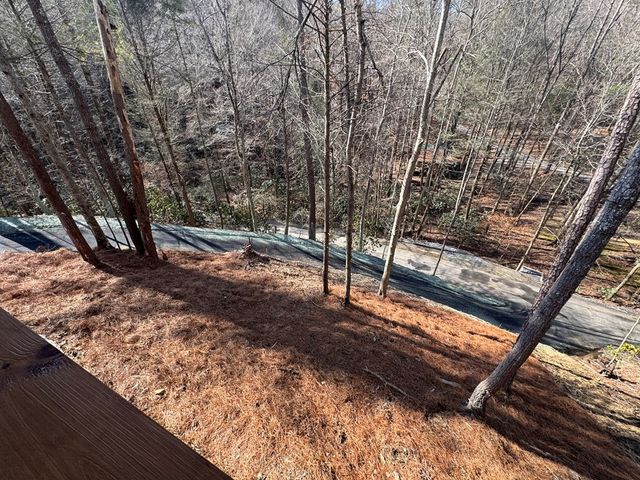 846 Joann Sisson Road, Ellijay, GA 30540