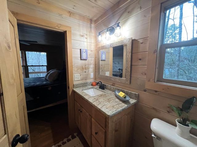 846 Joann Sisson Road, Ellijay, GA 30540