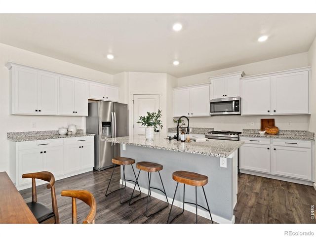 6512 Coralbell Street, Wellington, CO 80549