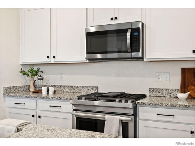 6512 Coralbell Street, Wellington, CO 80549
