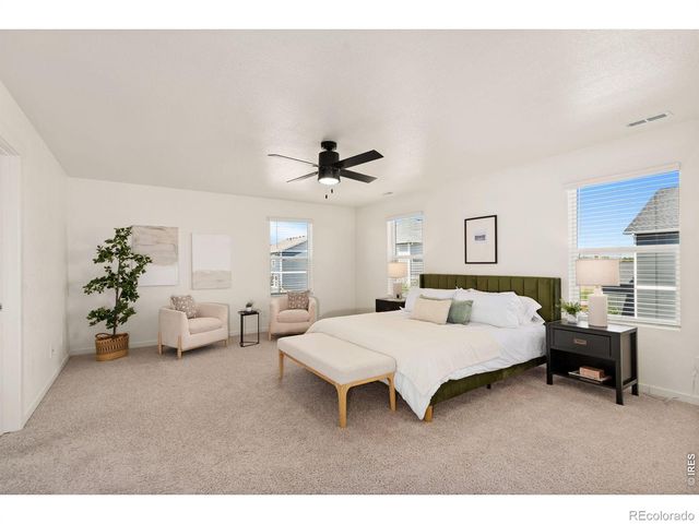 6512 Coralbell Street, Wellington, CO 80549