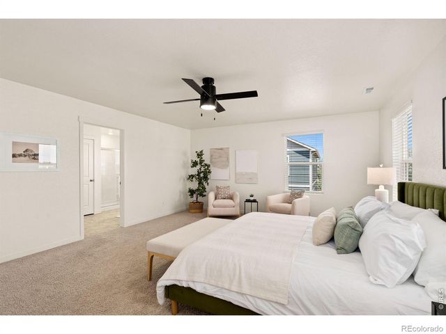6512 Coralbell Street, Wellington, CO 80549