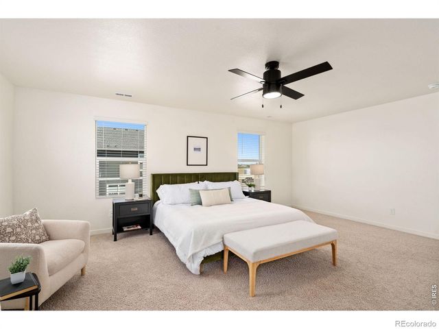 6512 Coralbell Street, Wellington, CO 80549