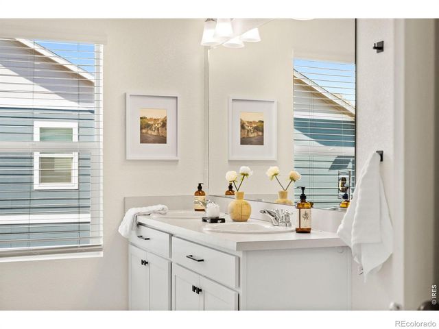 6512 Coralbell Street, Wellington, CO 80549