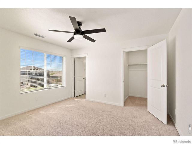 6512 Coralbell Street, Wellington, CO 80549