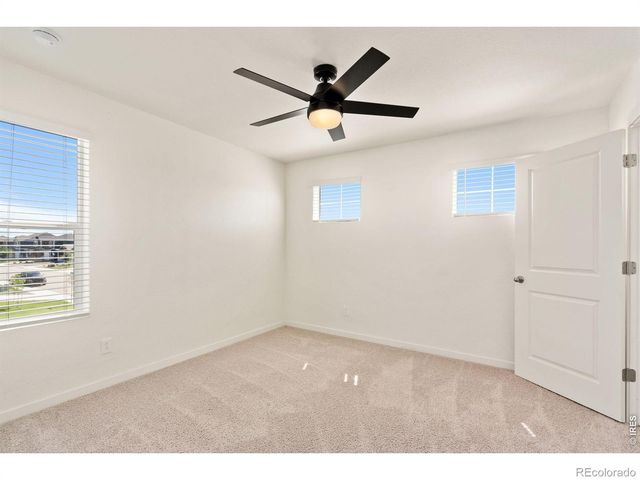 6512 Coralbell Street, Wellington, CO 80549