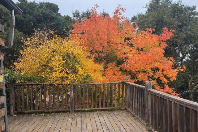 4101 San Juan Canyon Road, San Juan Bautista, CA 95045