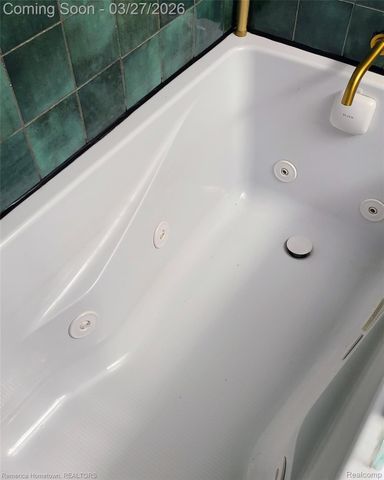 15131 Cortz Road, Summerfield Township, MI 49270